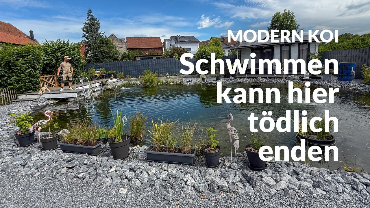 Das ist in Koiteichen definitiv verboten | Modern Koi Blog #7893