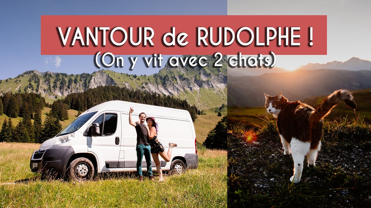 VanTour fourgon aménagé Citroën Jumper L2H2, pour y vivre à l'année, en couple avec 2 chats !