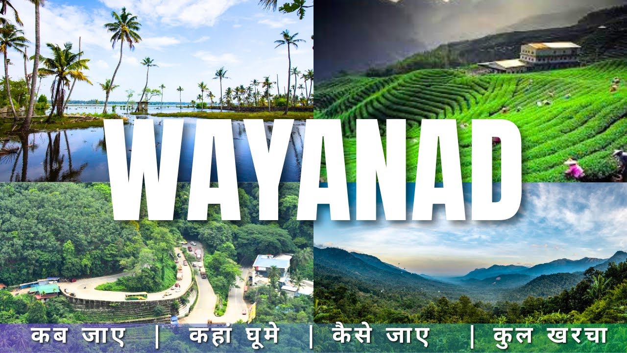Wayanad Budget Tour | Wayanad Tour Guide 2025 | Wayanad Tourist Places | How To Plan Wayanad Trip