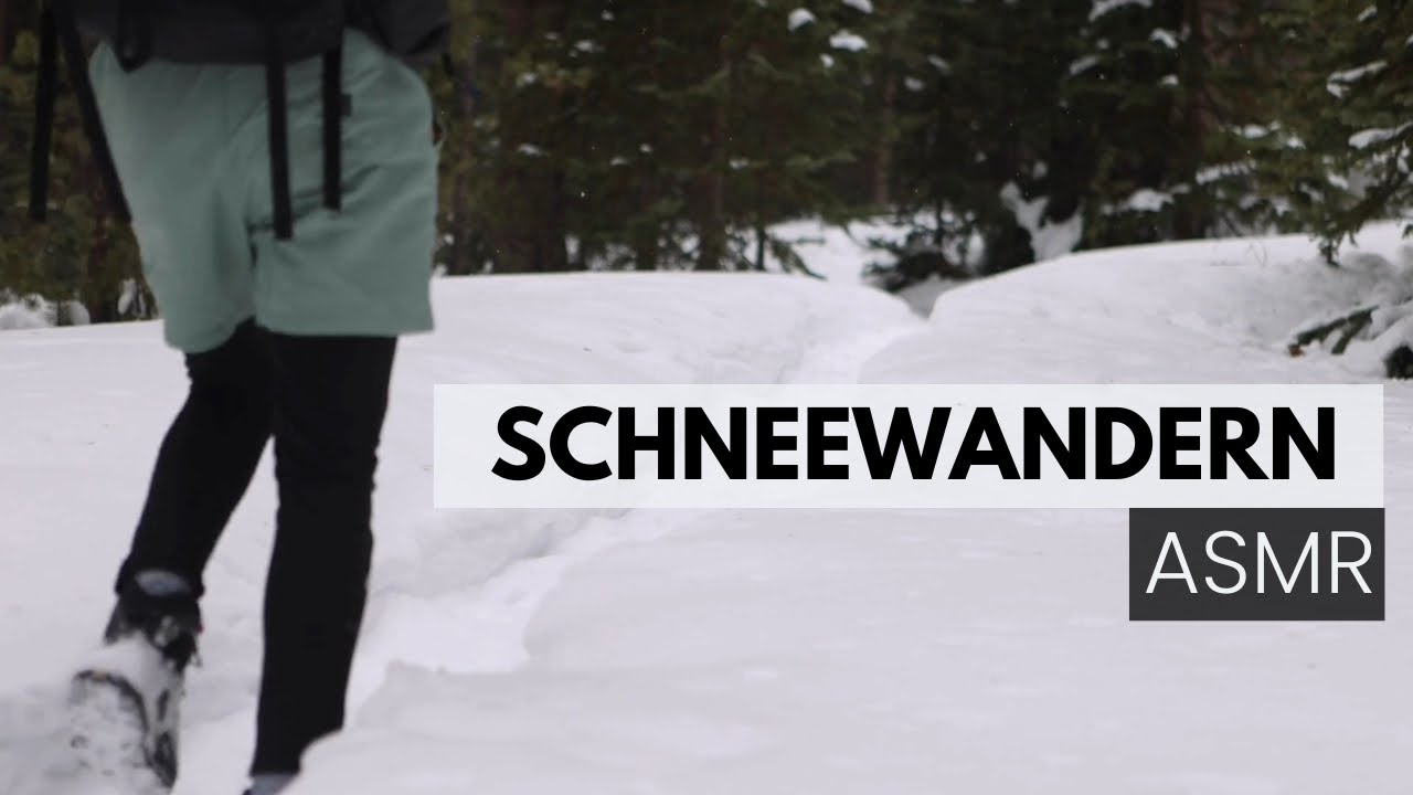 Schneewandern ASMR – Knirschender Schnee & Winterruhe ❄️ 15 Minuten Winter ASMR