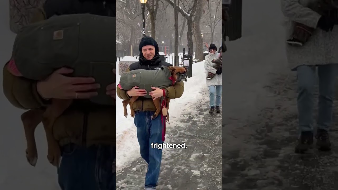Как жители Нью-Йорка передвигались во время снежной бури 