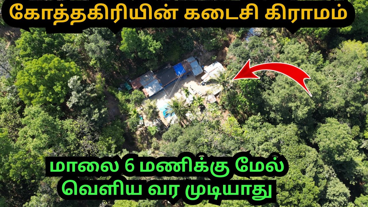 கோத்தகிரியின் கடைசி இருளர் பழங்குடி கிராமம்|மாலை 6 மணிக்கு மேல் வீட்டை விட்டு வெளியே வர மாட்டார்கள்
