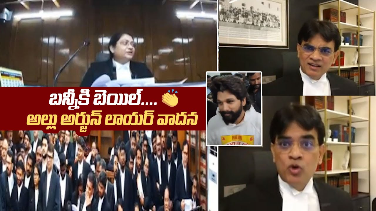 Allu Arjun Got Bail | Allu Arjun Lawyer Niranjan Reddy Argument Video Infront Of High Court Judge