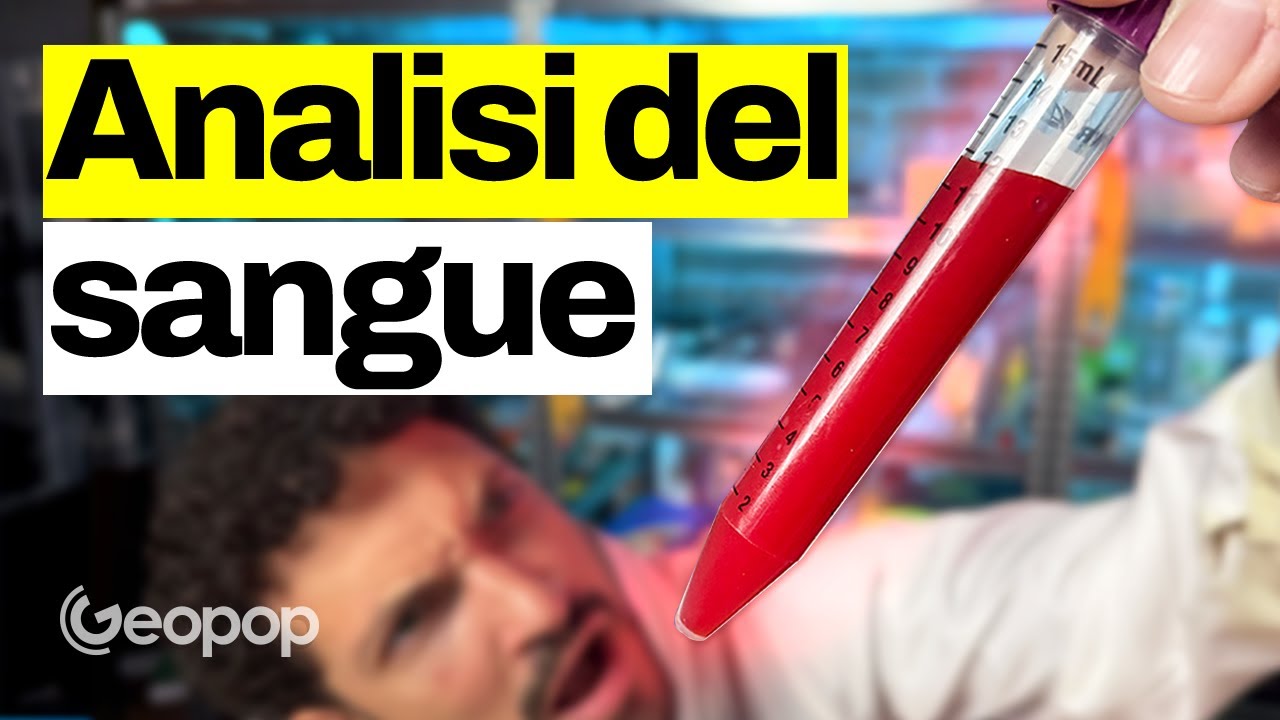 Siamo entrati in un laboratorio di analisi del sangue: dalla provetta del prelievo al referto