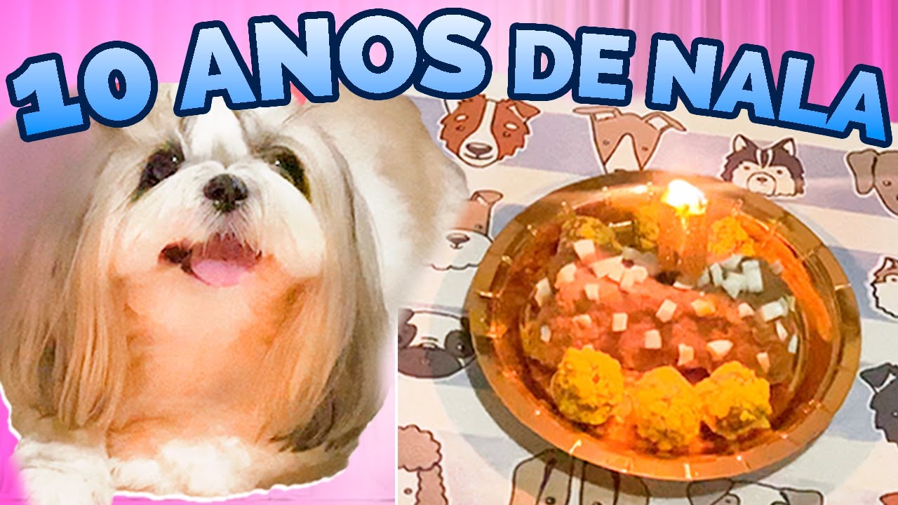 FESTA PARA CACHORRO DE 10 ANOS: BOLINHO E BRIGADEIRO ESPECIAL 🎉🐶
