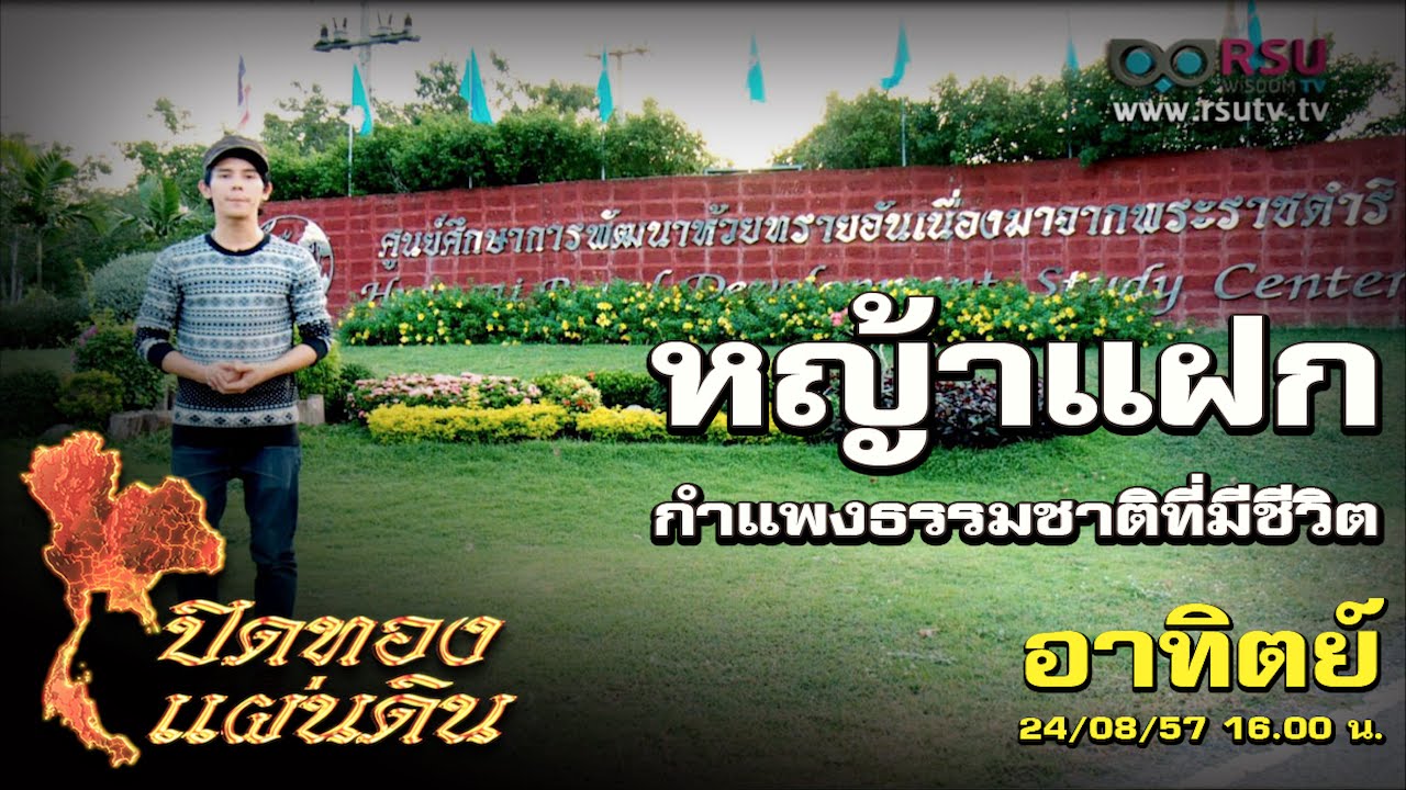 ปิดทองแผ่นดิน : 