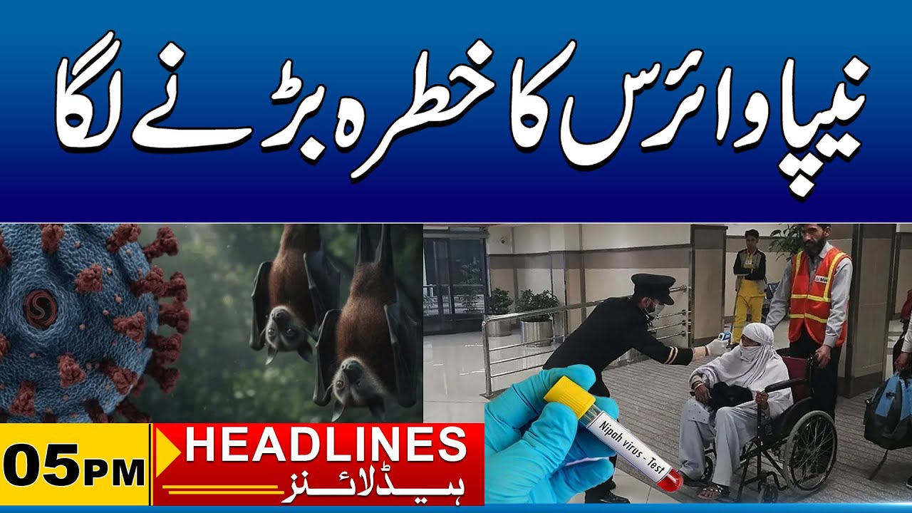 Nipah Virus Out of Control | 05pm News Headlines | 10 Feb 2026 | City 41