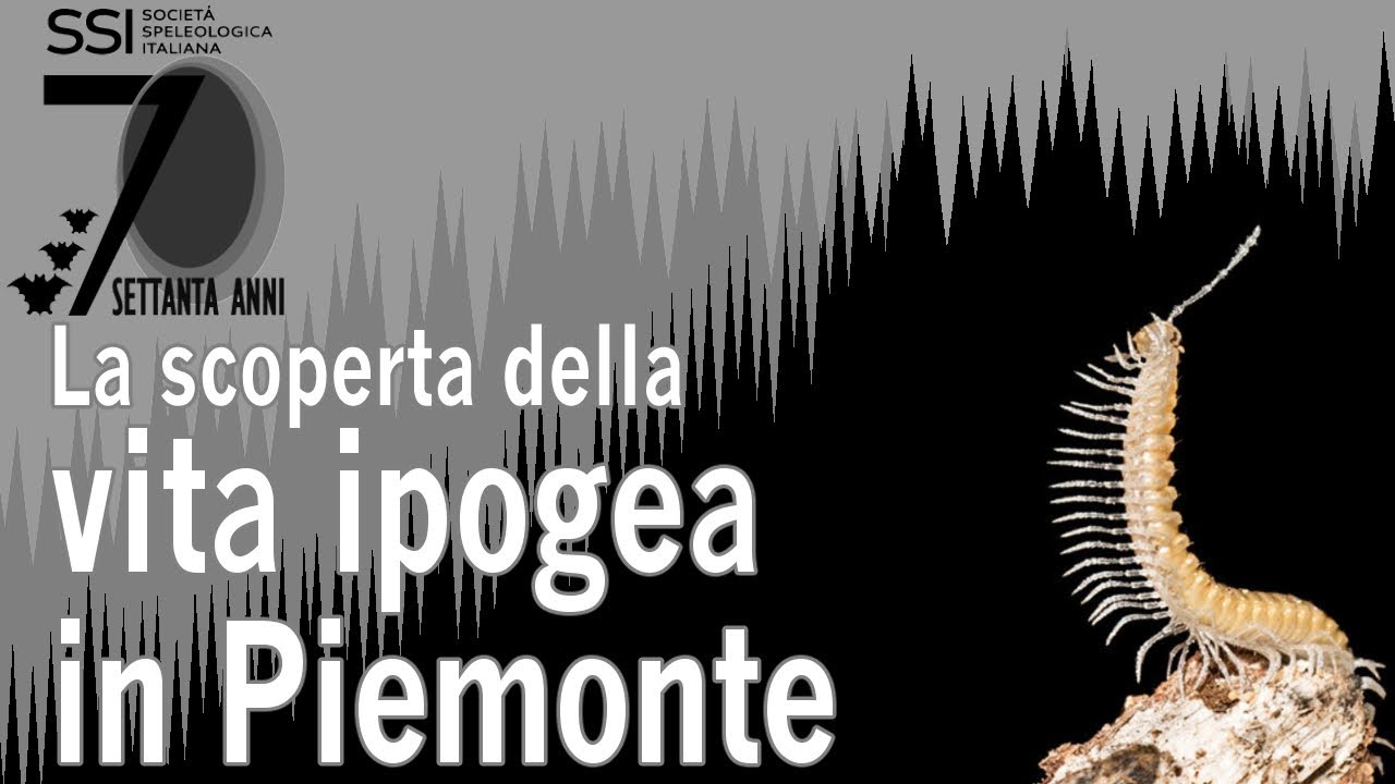 La scoperta della Vita Ipogea in Piemonte