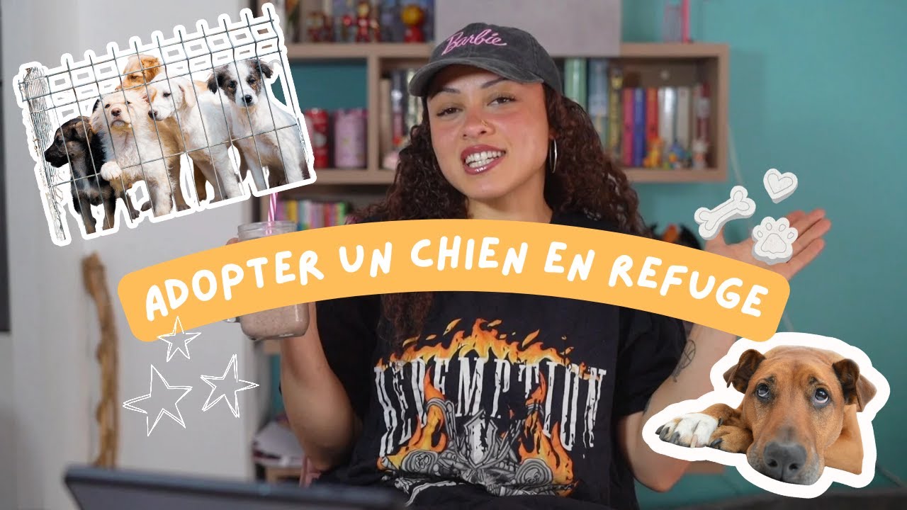 ADOPTER UN CHIEN EN REFUGE : ce qu'il faut savoir !