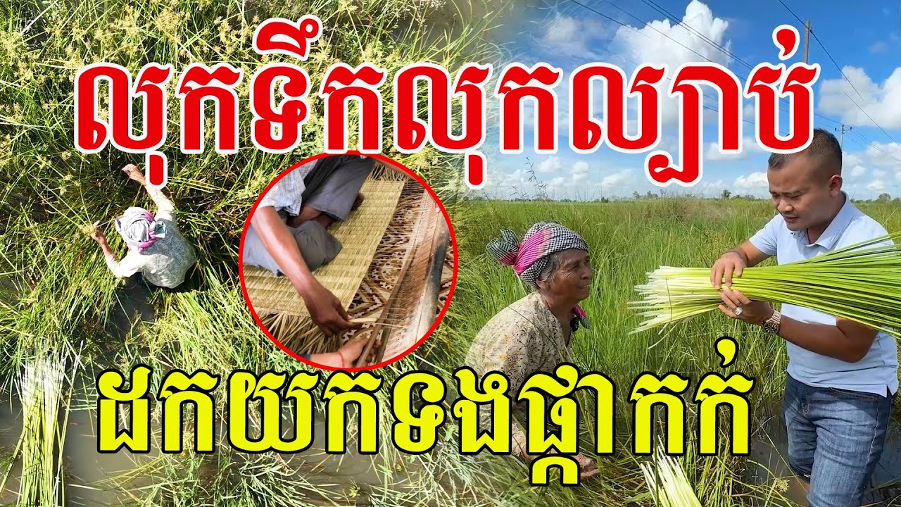 លុកទឹកលុកល្បាប់ ទឹកត្រឹមៗចង្កេះ ដកយកទងផ្កាកក់