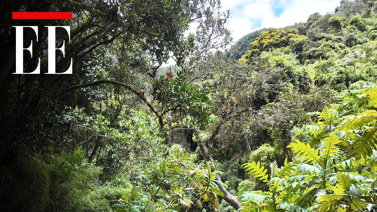 ¿Busca un plan al aire libre en Bogotá? Recorra el Sendero La Aguadora | El Espectador