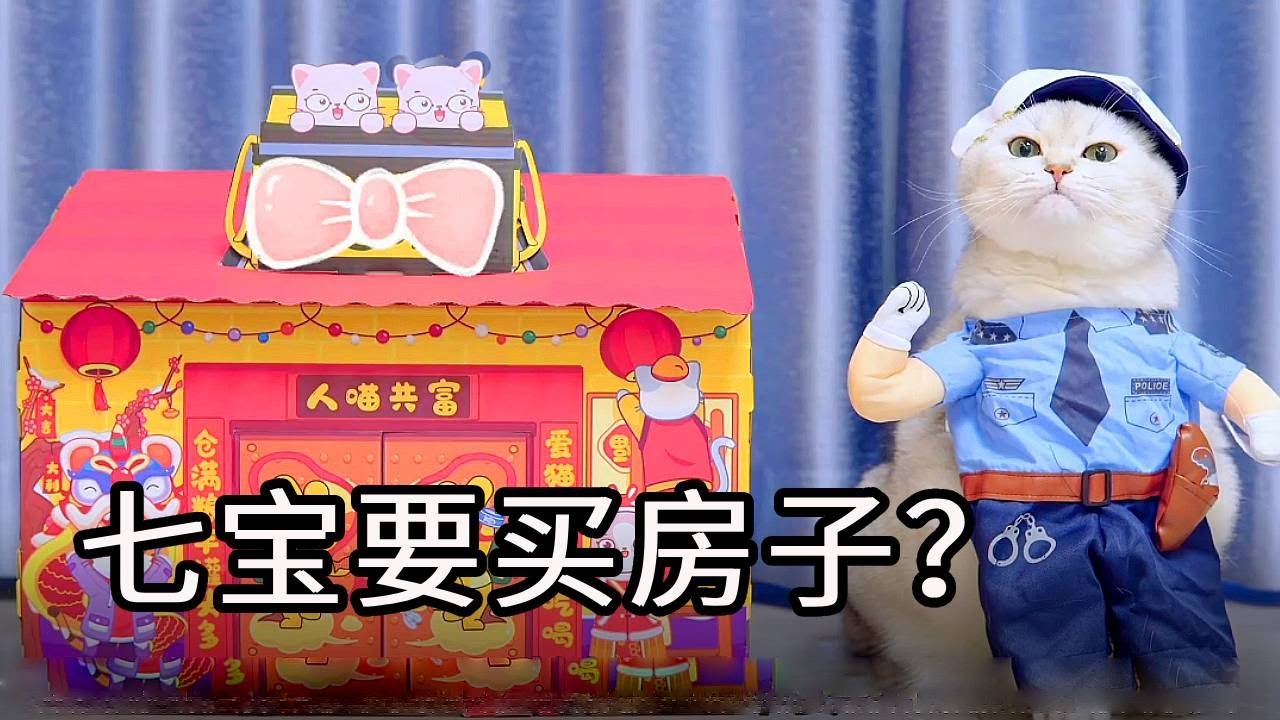 七宝非要买房子，竟然是为了娶媳妇儿！主人哭笑不得~#猫咪 #铲屎官 #猫主子 #七宝小圆子