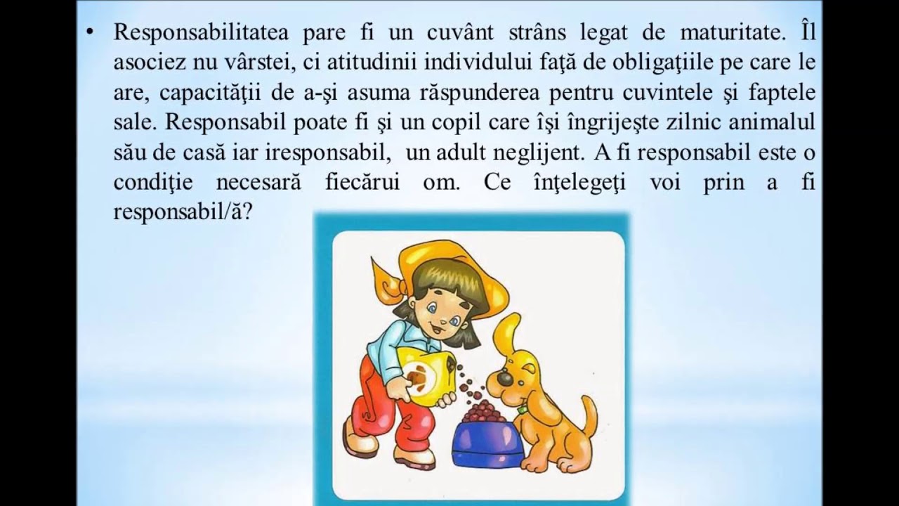 Responsabilitate