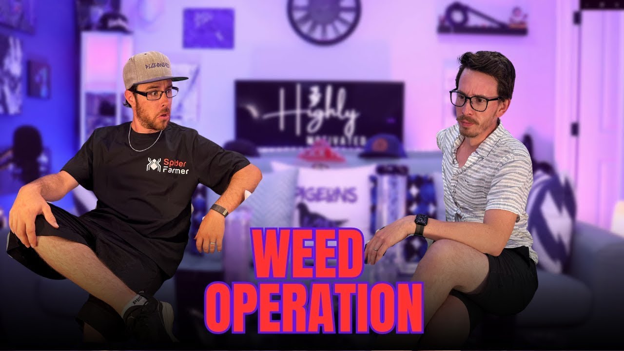 CRAFT WEED vs CORPORATE WEED |  Highly Motivated Ep.  15