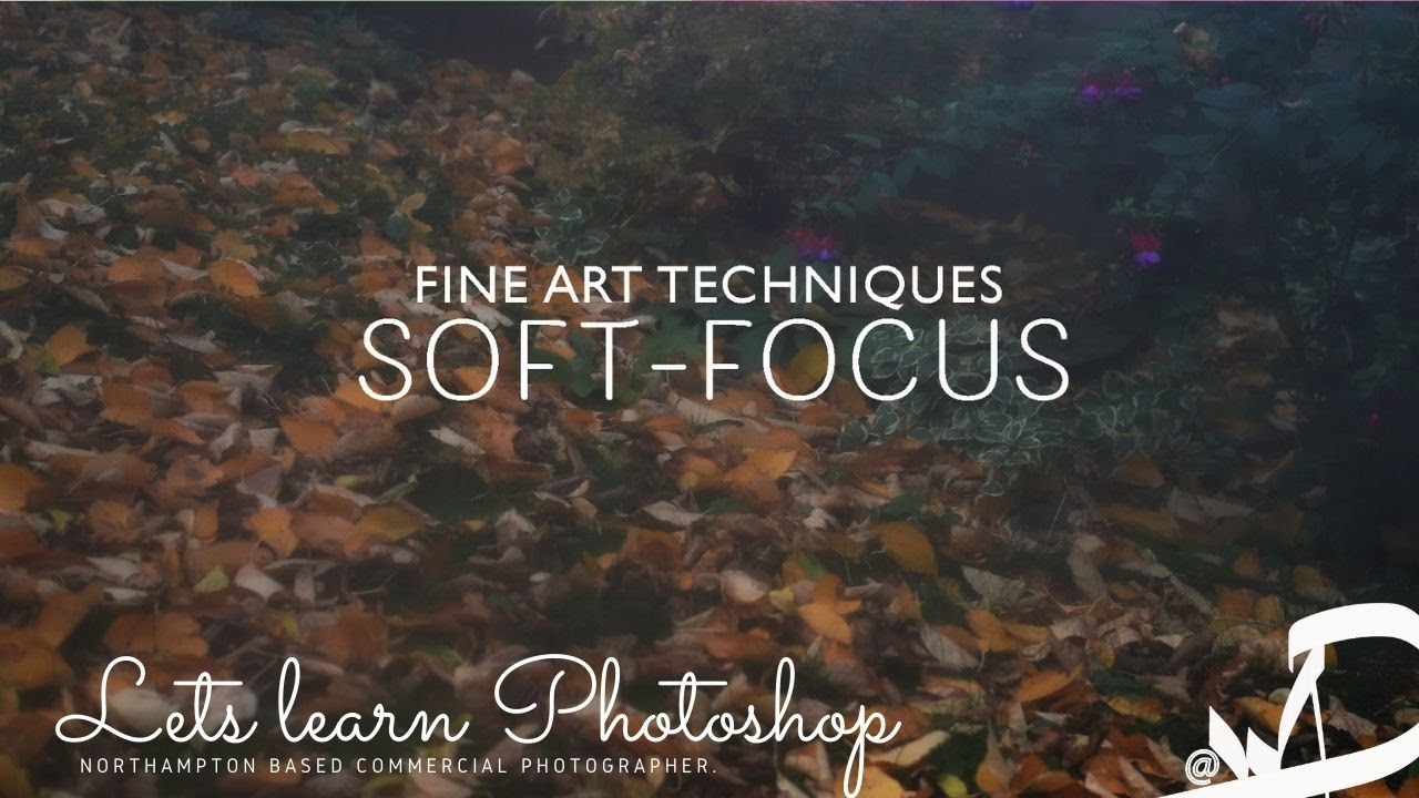 Learn the practical way to take a Soft-Focus Photograph.