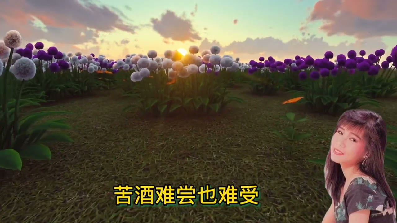 分享经典音乐：韩宝仪一曲《恨你不回头》怀旧情歌，30多年过去了，仍旧百听不腻+韩宝仪一曲《舞女》歌声漂过30年，回头再听，依旧令人回味+韩宝仪一曲《星夜的离别》怀旧情歌，回头再听，别有一番滋味+韩宝仪