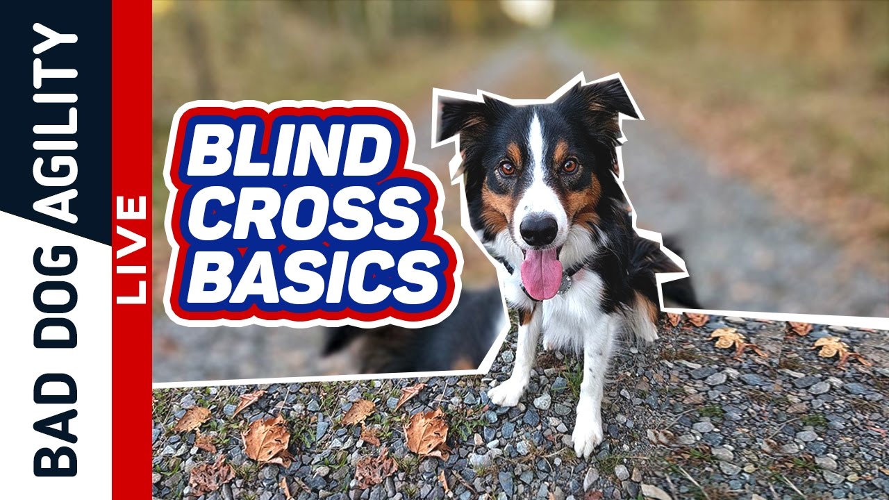 Blind Cross Basics