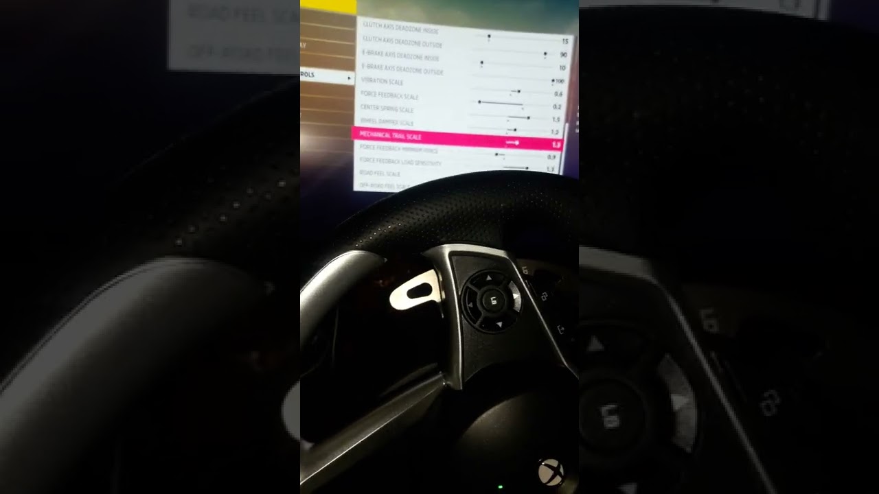 Forza Horizon 5 hori ffb rwd setup