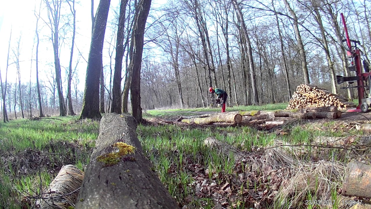 Holzstamm aus wassergraben ziehen mit Eigenbau Seilwinde an Holzspalter