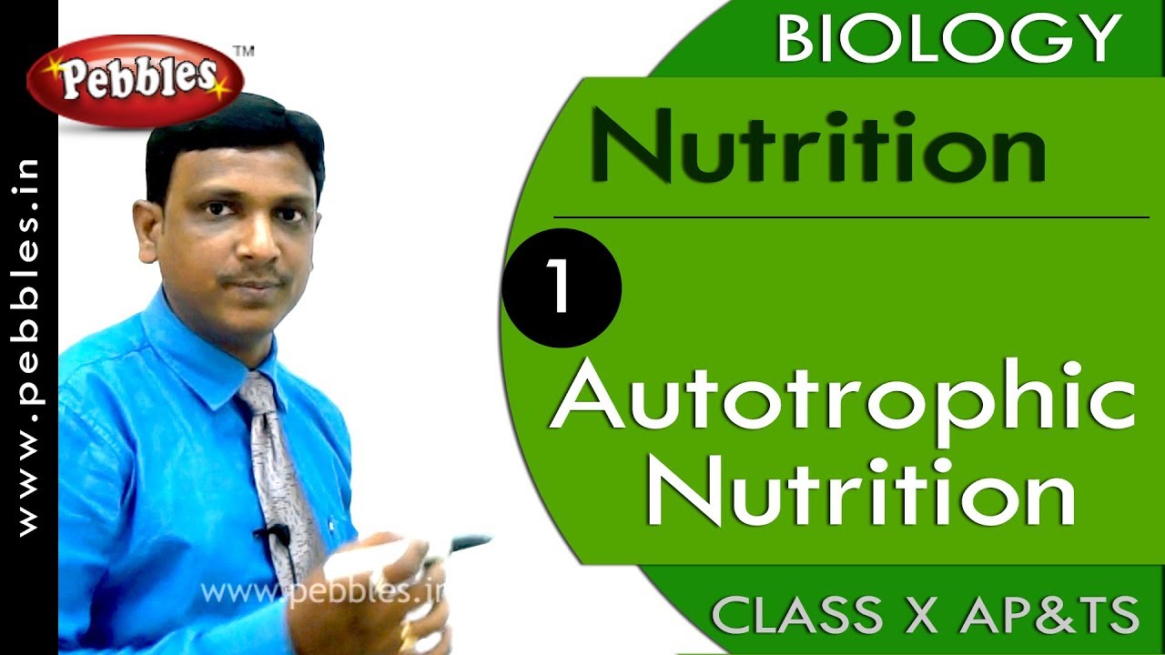 Autotrophic Nutrition:  Nutrition | Biology | Science |  Class 10