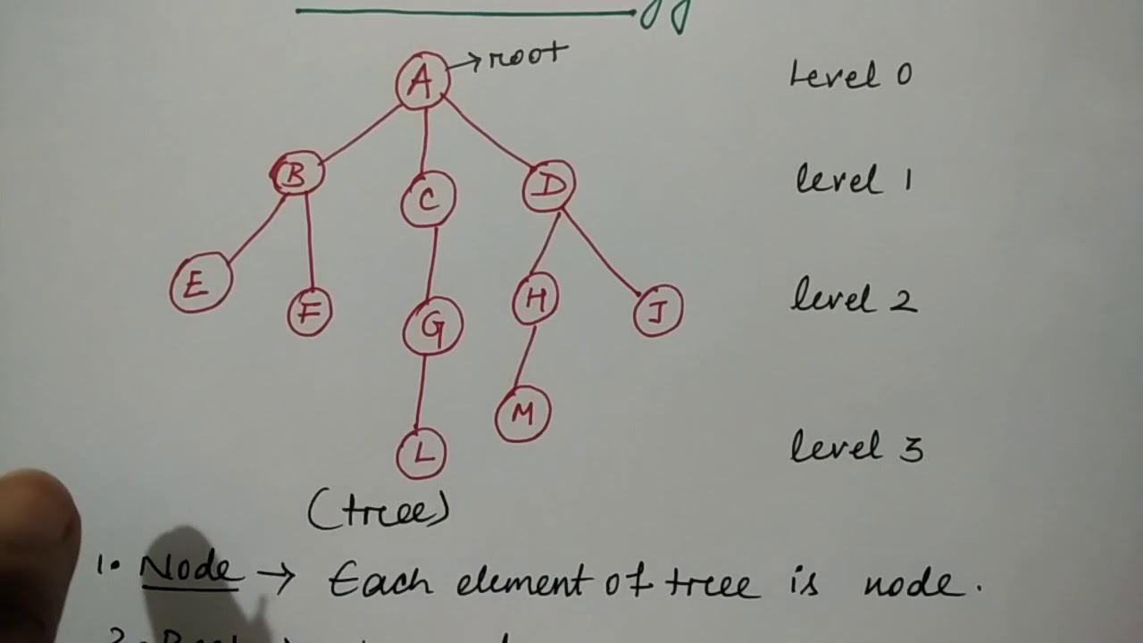 tree terminology in data structure in hindi | Niharika Panda