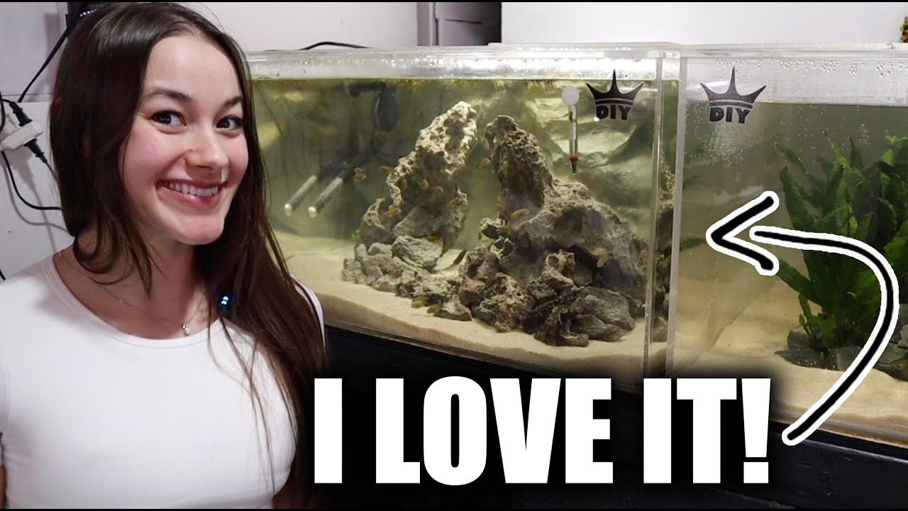 The king of DIY SURPRISED me with FULLY SET UP and SCAPED Fish Tank! - ADayWithT