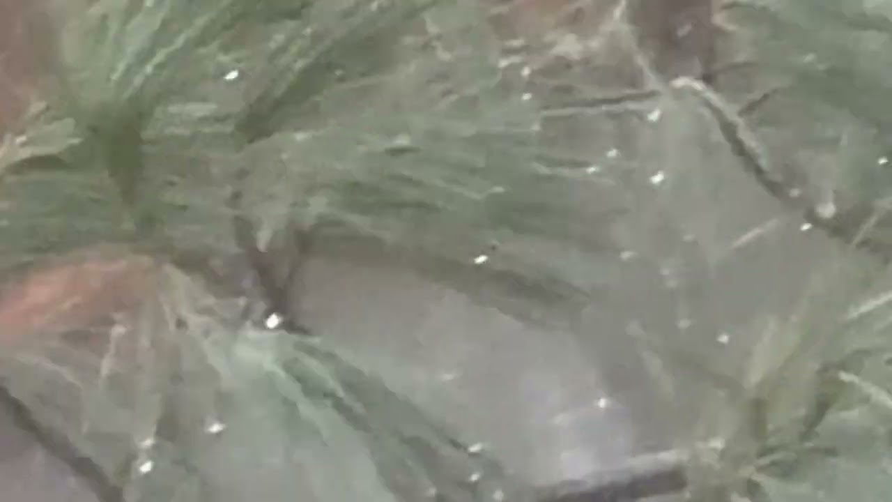 Rain and nature time