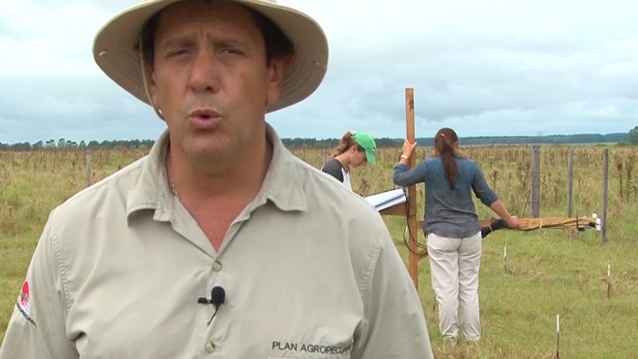 Demostración de tecnología,  fertilización de Campo Natural