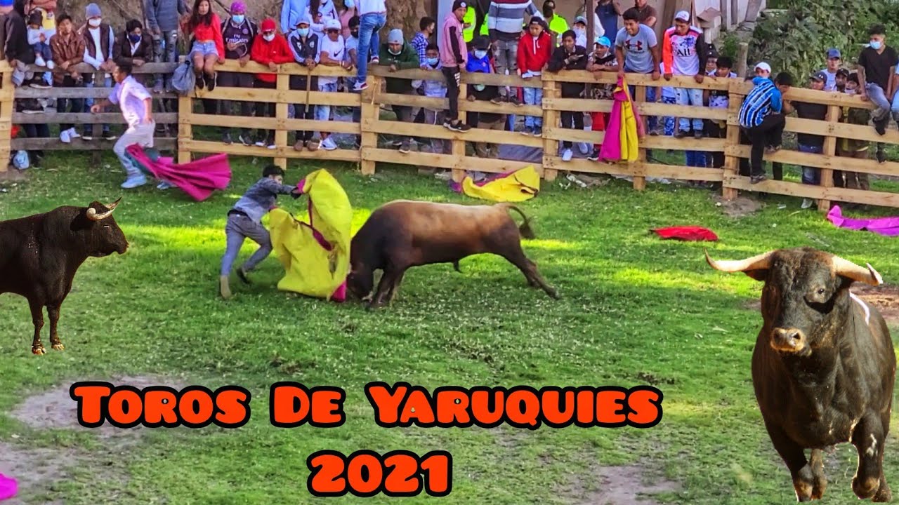Toros De Yaruquies 2021, Parte 1.