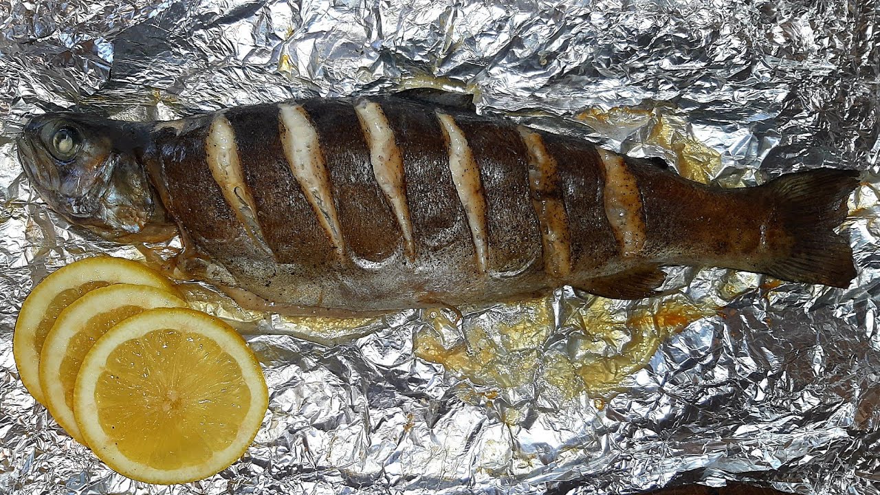 PSTRĄG PIECZONY W PIEKARNIKU 🐟🤤