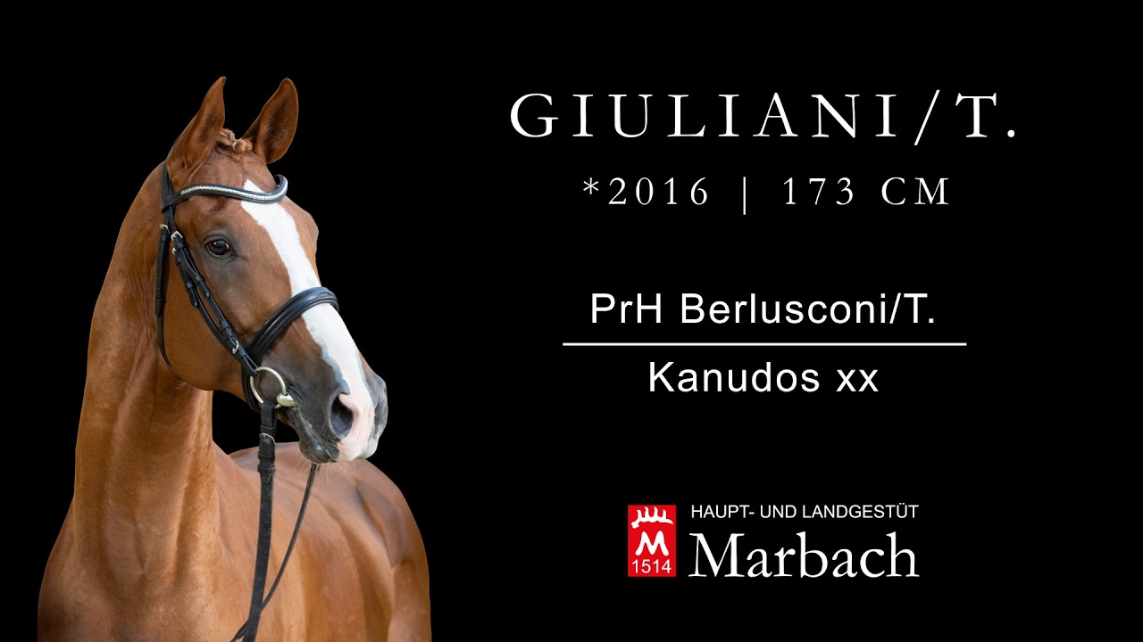 Giuliani/T. *2016 v. PrH Berlusconi/T. - Kanudos xx