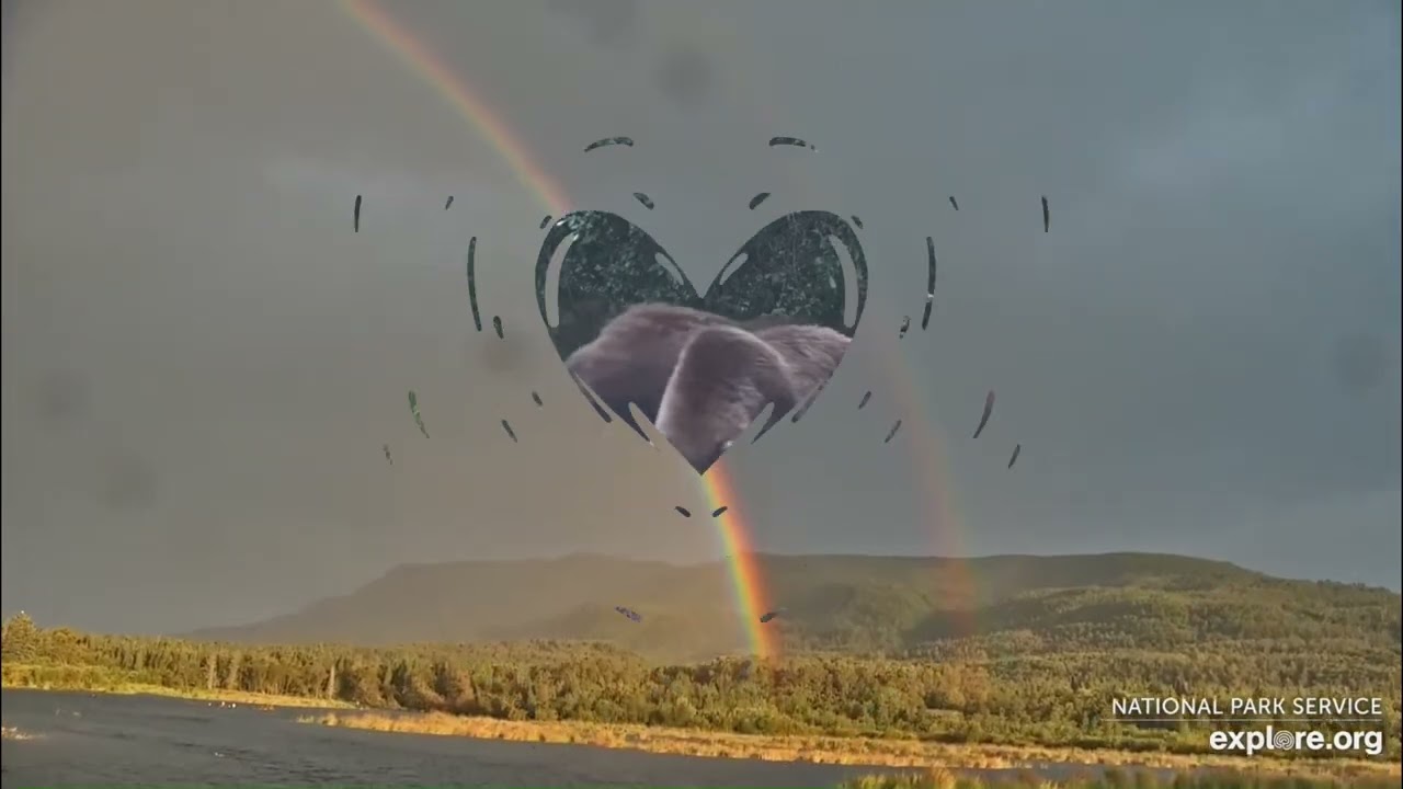 Kids of Katmai Part III (2024). Footage courtesy of explore.org.