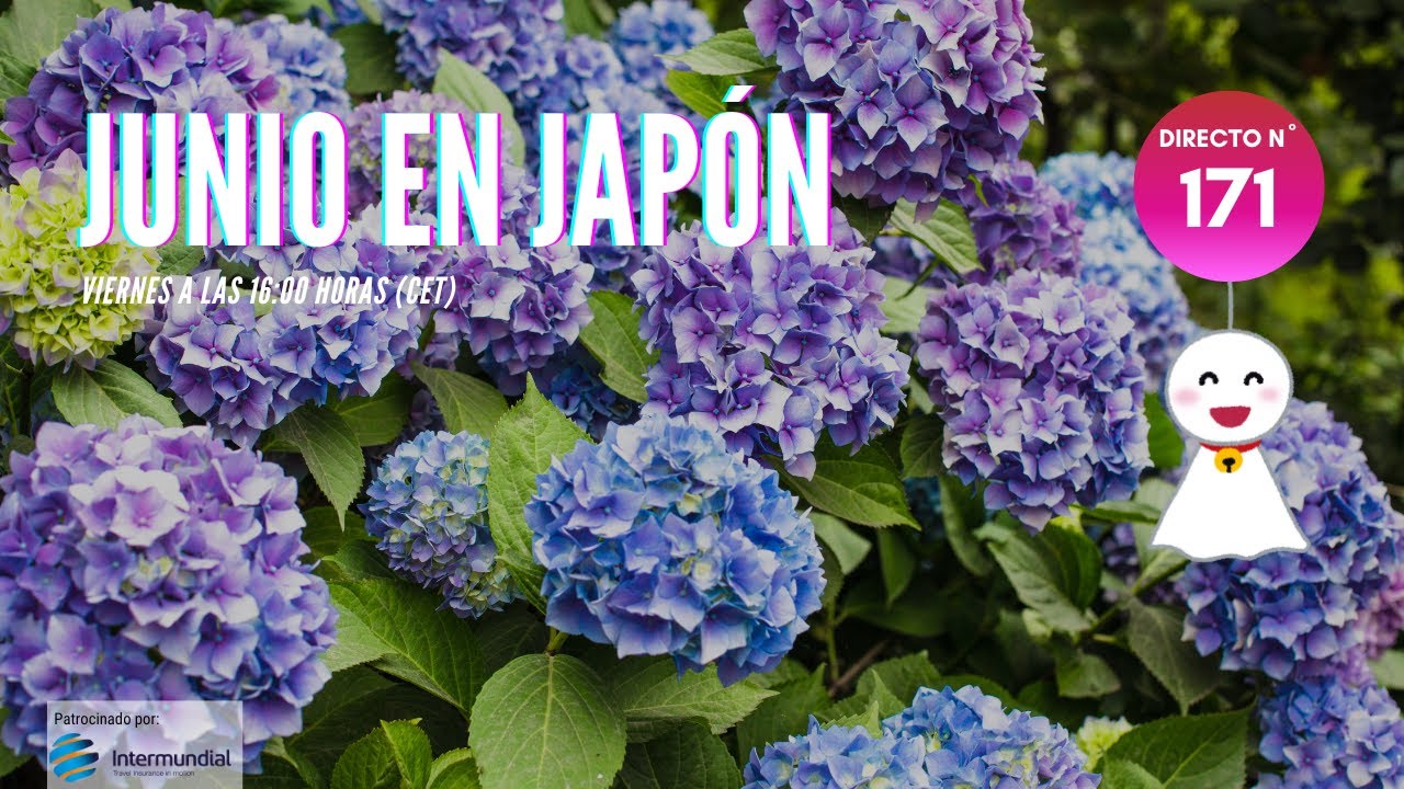 JUNIO EN JAPÓN 🇯🇵 JAPÓN EN DIRECTO Nº 171
