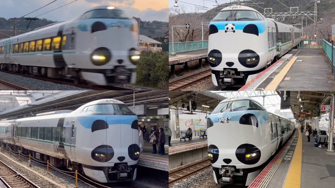 【第300回】 パンダ大集合！！ JR紀勢・阪和線を走る287系パンダくろしお！