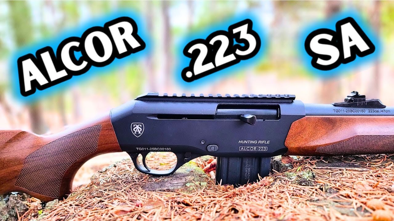 Хотите ОТЛИЧНЫЙ полуавтоматический пистолет .223?
