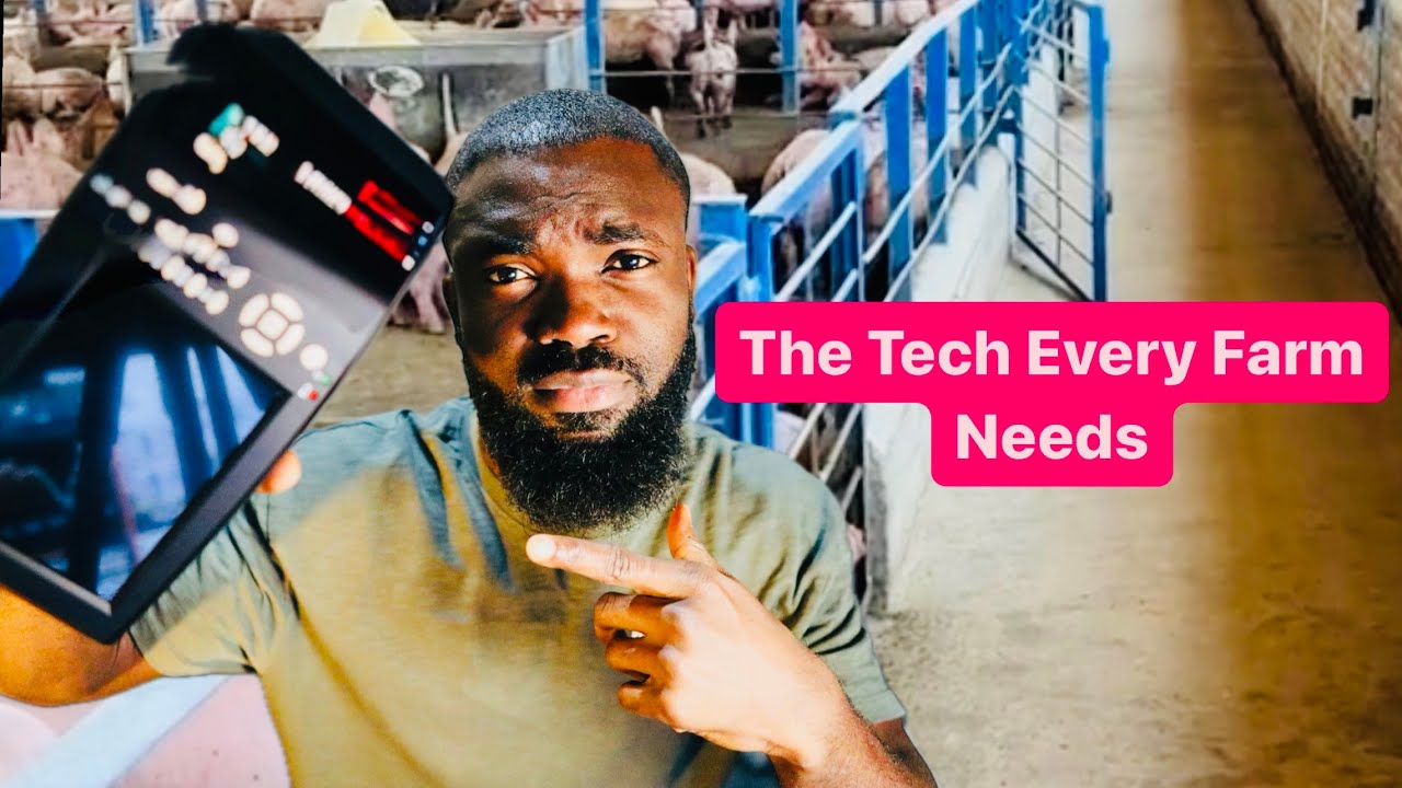 This is why You Need this NEW TECHNOLOGY ( The Vet Ultrasound-B Scanner) On Your Farm Today