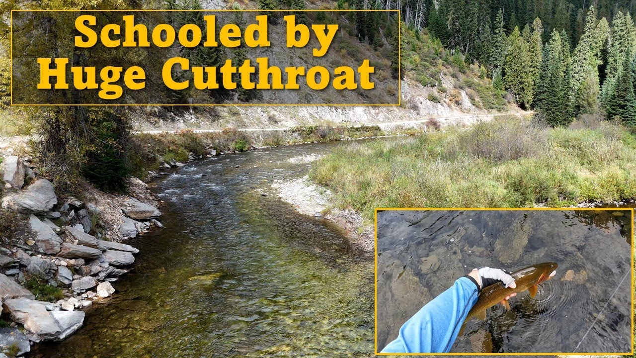 UNCUT: Battle with HUGE Cutthroat - Fly Fishing in Idaho (Euro-Nymphing)