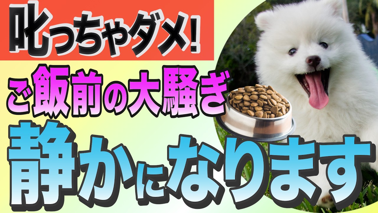 ご飯前に大騒ぎこれで静かに
