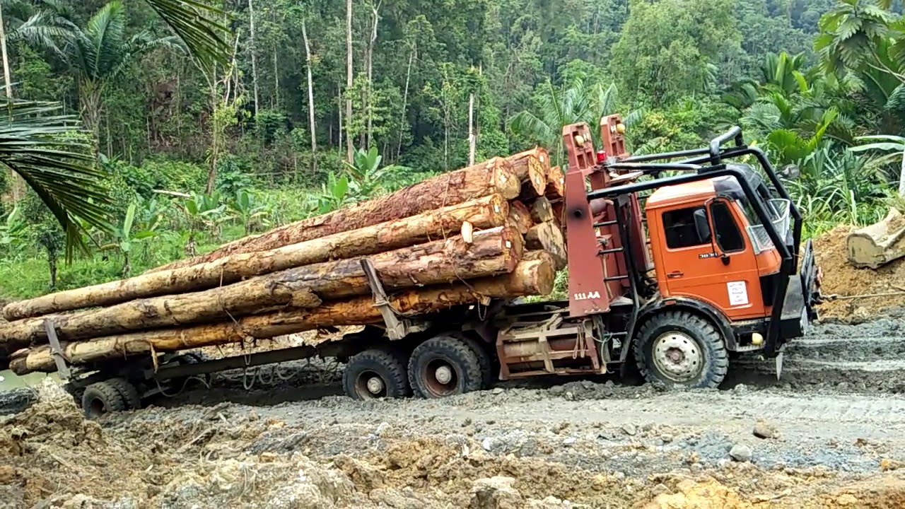 Logging mercy 3836