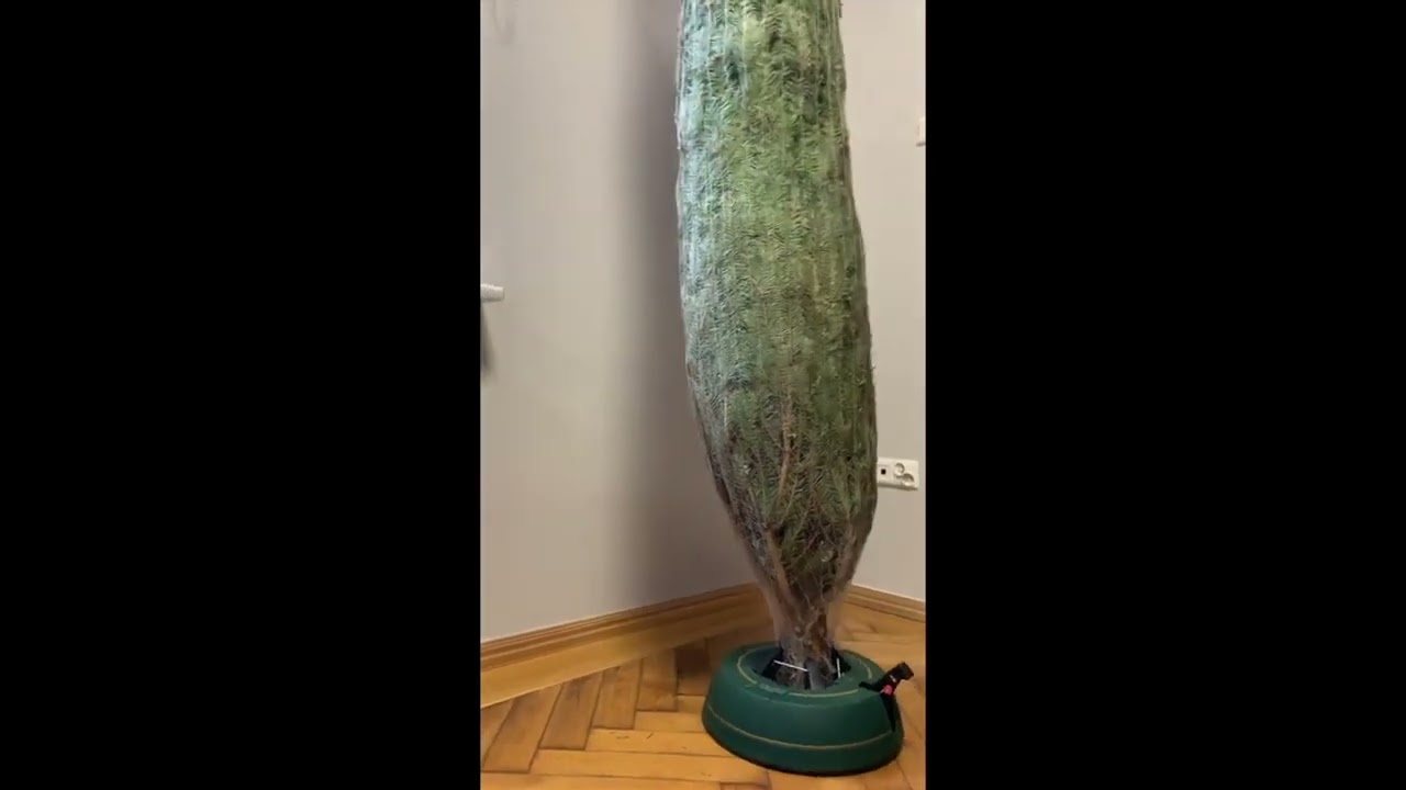 Jak wyglądają i działają stojaki choinkowe Kamai SELECT