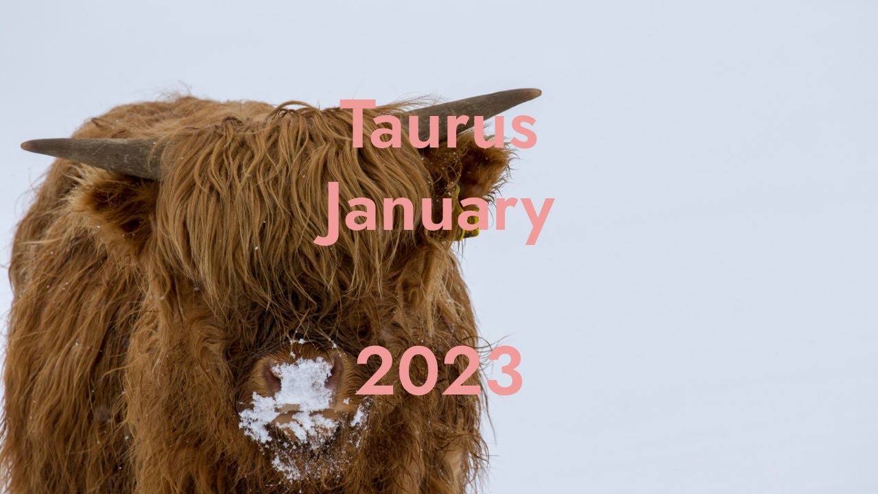 Taurus tarot January 2024
