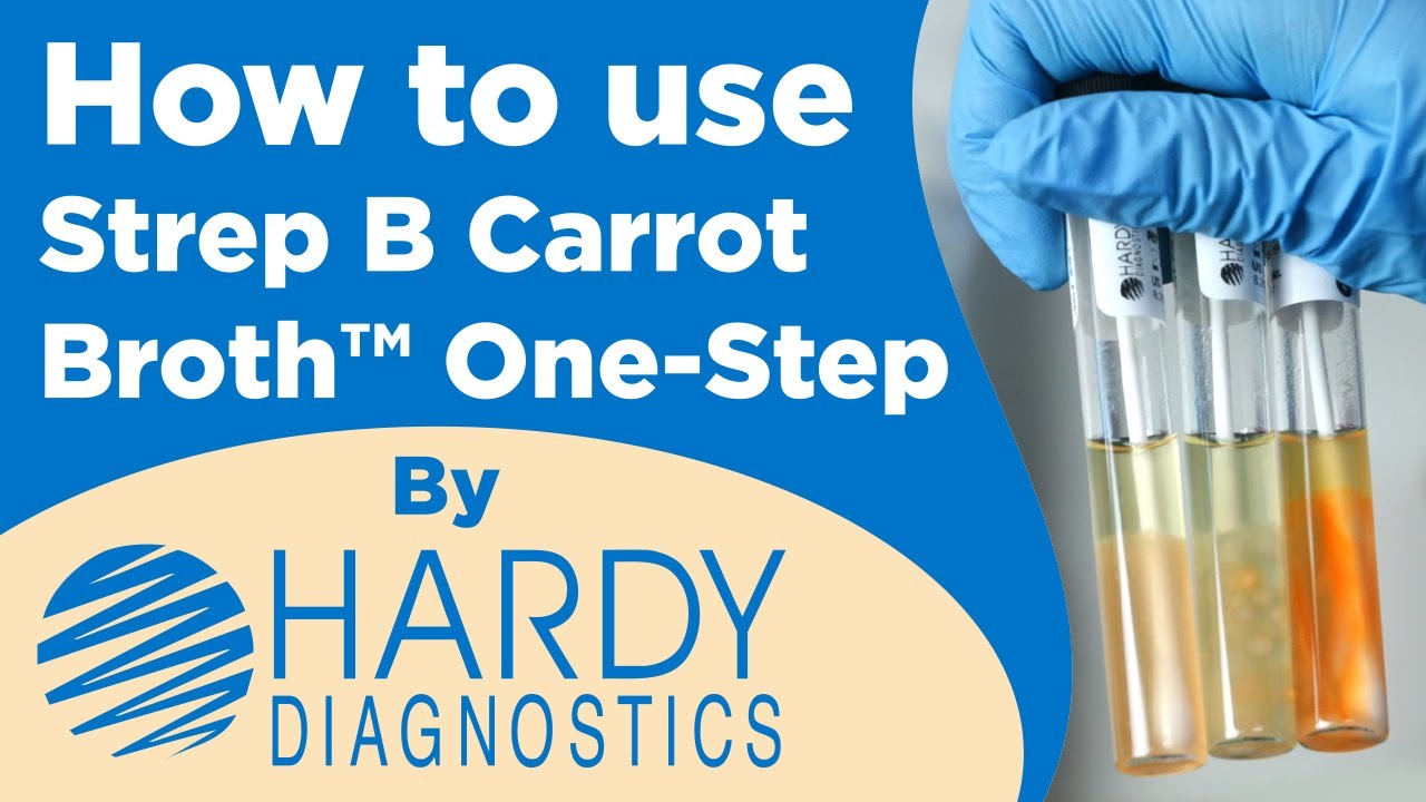 Беременны? Легко определите наличие стрептококка группы B с помощью Strep B Carrot Broth™ One-Step!
