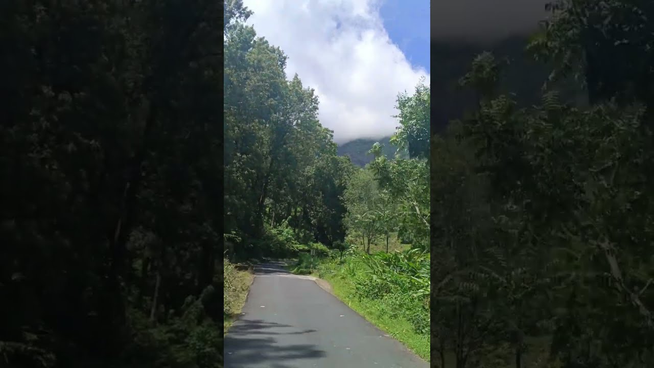 Road Trip // Gudalur // Tamilnadu // Chandanamala