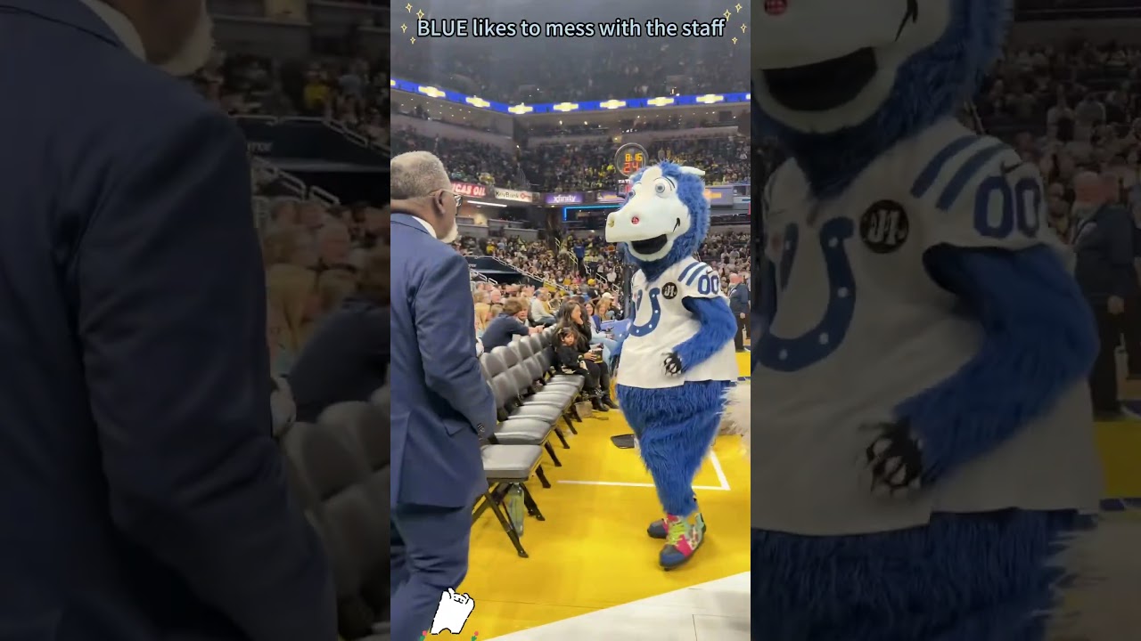 BLUE likes to tease the staff.💙#bluemascot#funnyvideo#bestmascot#funnyclips