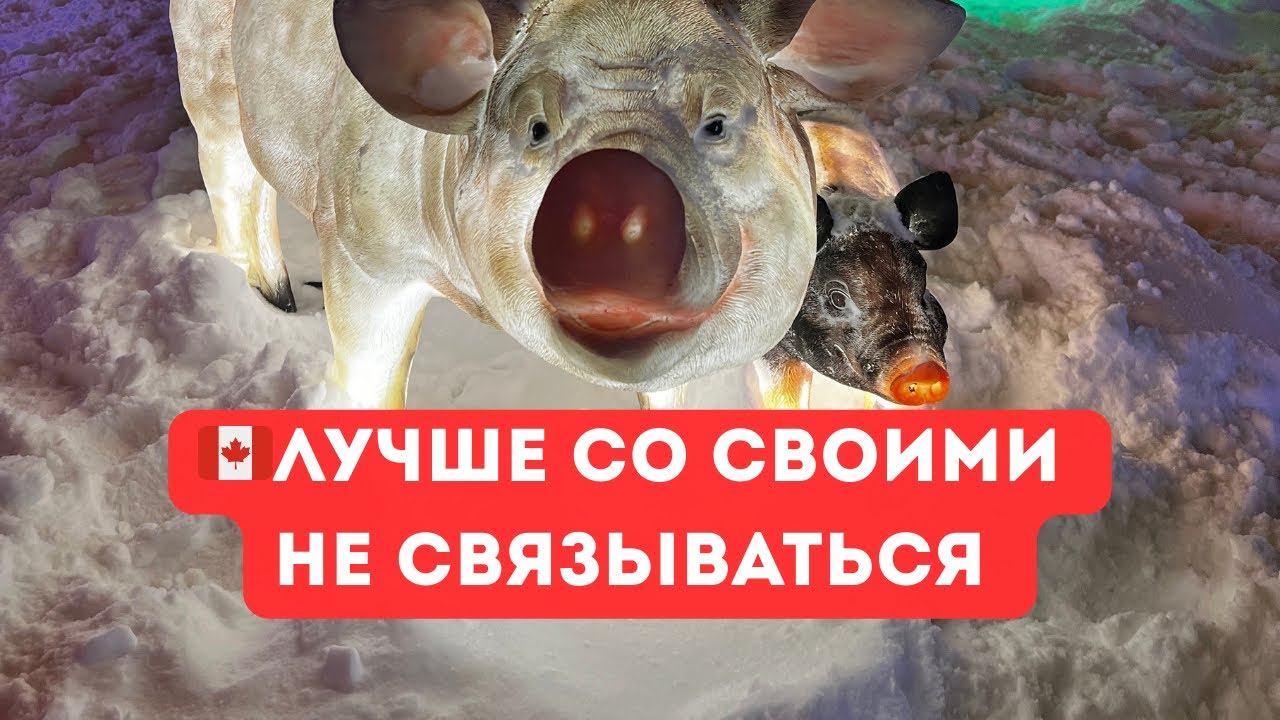 🇨🇦Канада: лучше со своими не связываться❌ 