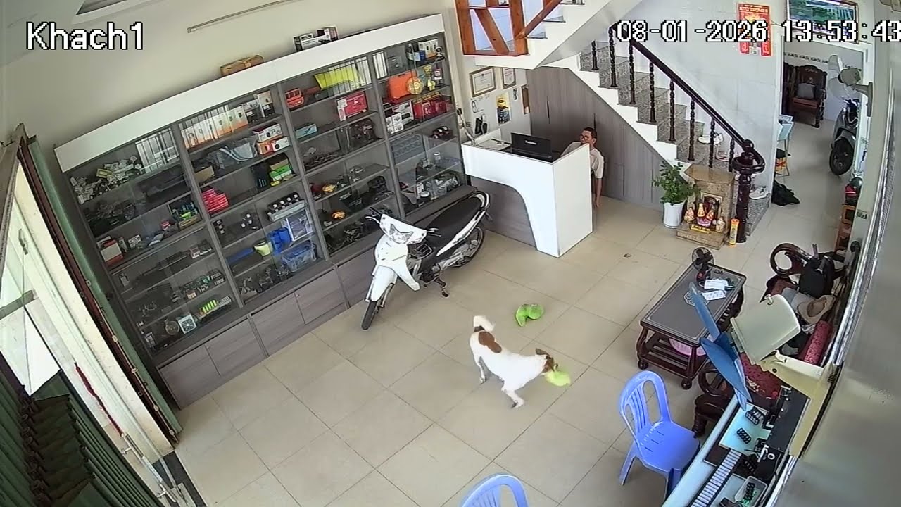 Camera ngày piter đi lạc