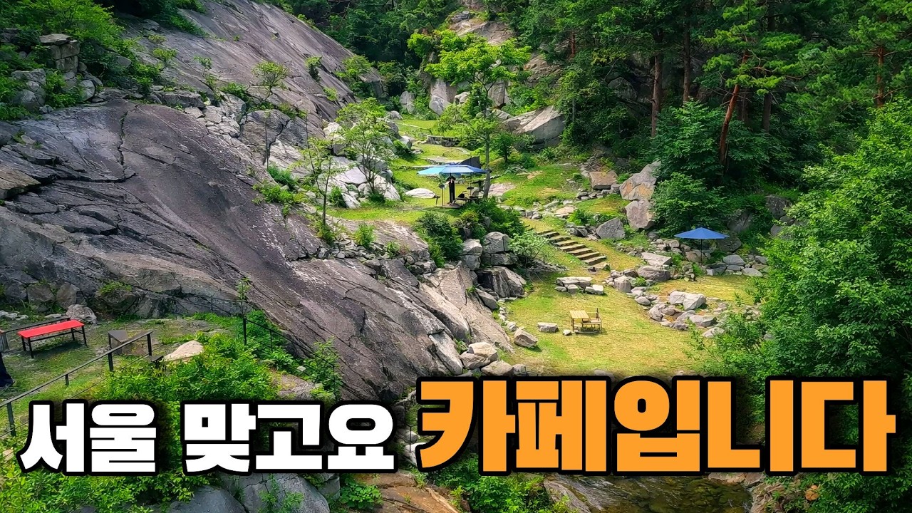 굳이 멀리 갈 필요 없네요. 서울 도심 속 '역대급 자연 뷰' 아지트 3곳 #서울카페 #서울여행 #카페추천