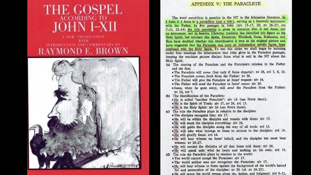 Was the Comforter the Holy Spirit? I Dr Shabir Ally