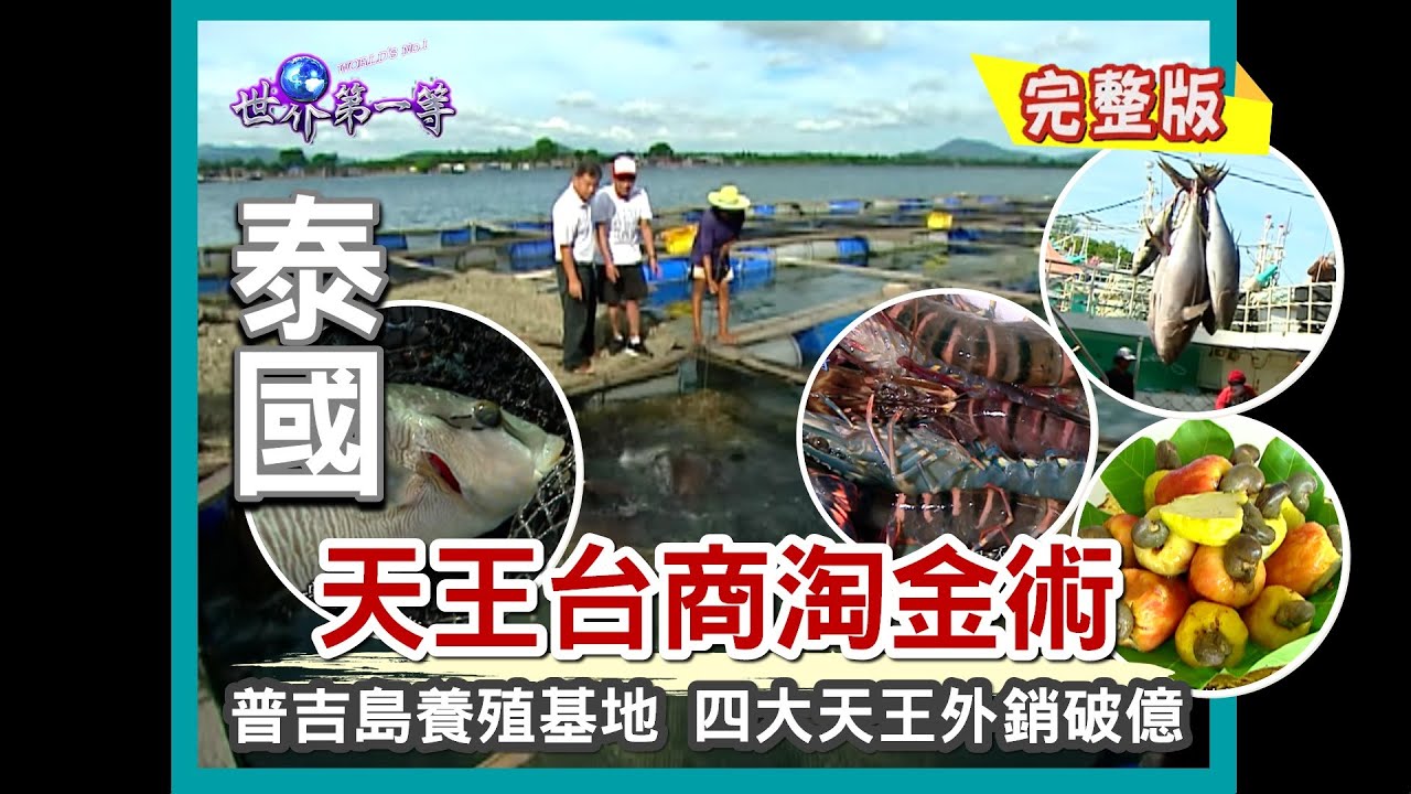 【泰國】四大台商天王 普吉島淘金術 （超大黃鰭鮪基地／百萬草蝦出口女王／混種石斑養殖廠／黃金腰果）｜《世界第一等》513集小馬完整版