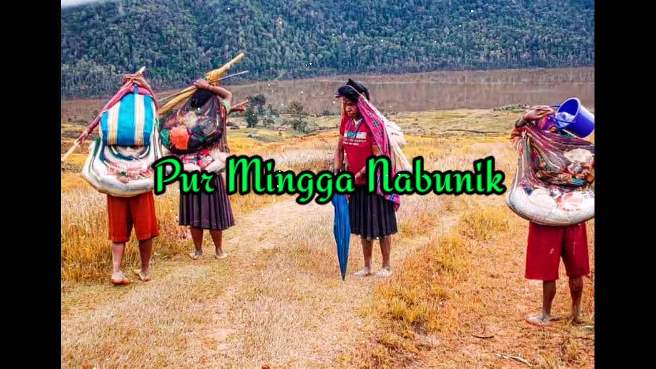 lirik lagu Lani 2021 (Pur mingga Nabunik)